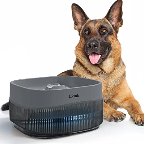 מזרקת מים לחיות מחמד Loomla Water Fountain 4L