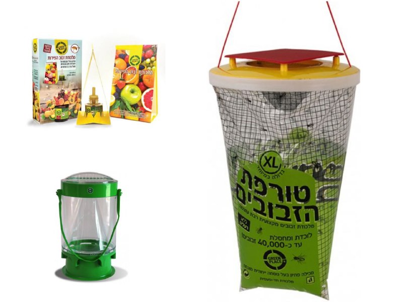 מלכודות זבובים בהנחה בלעדית לחברי הקבוצה