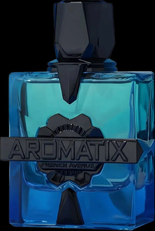 בושם יוניסקס 100 מ"ל French Avenue Aromatix X Magnetiq אקסטרייט דה פרפיום